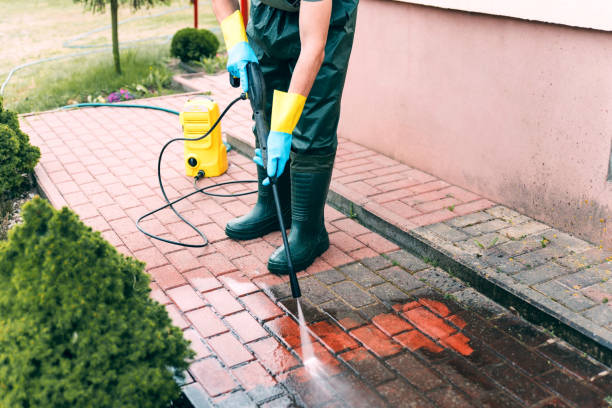 Best Driveway Pressure Washing  in Whitesboro, NY